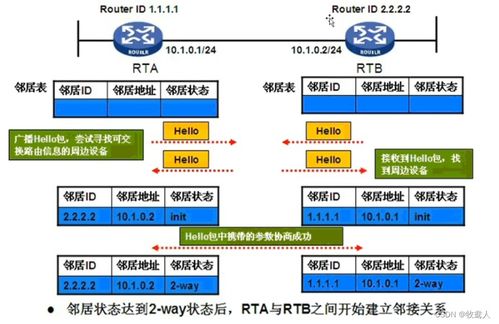 计算机网络开发与服务中的核心路由协议 OSPF深度解析