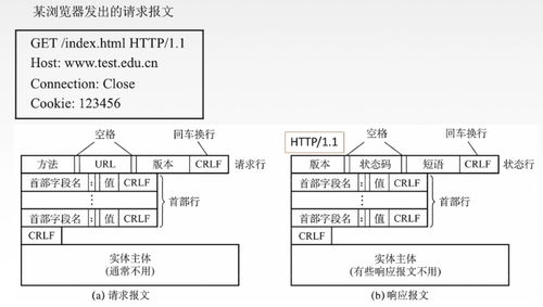 计算机网络开发与服务的心脏 应用层深度解析