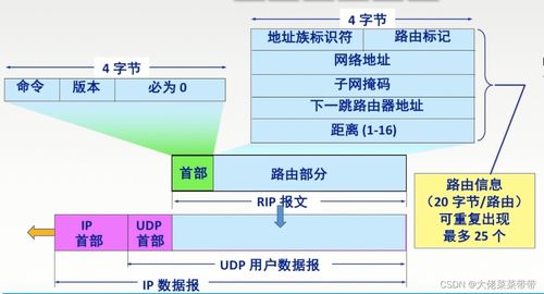 网络层在计算机网络开发与服务中的关键作用