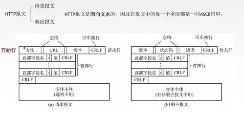 计算机网络基础知识之应用层 网络开发与服务的基石