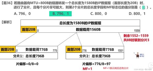 计算机网络408题（2020-2022） 聚焦开发与服务的核心考点解析